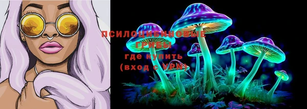 прущая мука Киселёвск
