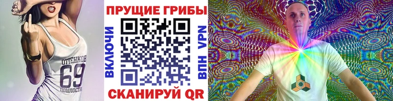 гидра tor  наркошоп  Куса  Псилоцибиновые грибы Magic Shrooms 